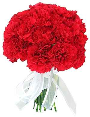 boquet de noiva cravos