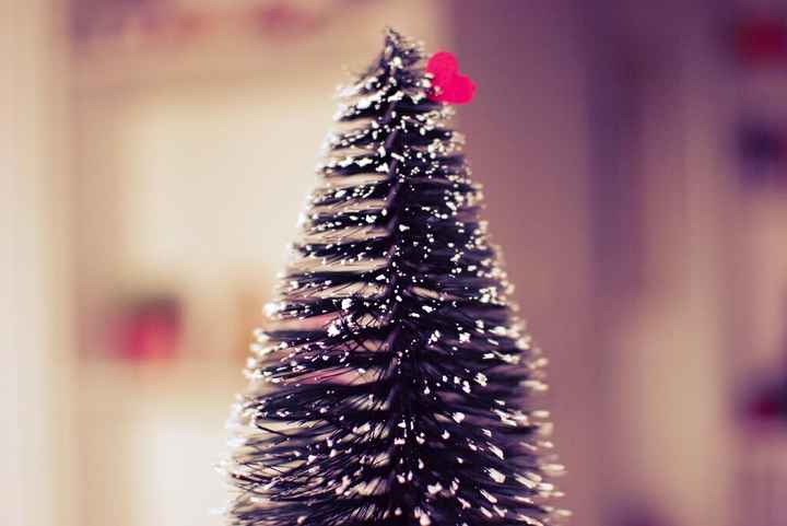 Olá dezembro - 2