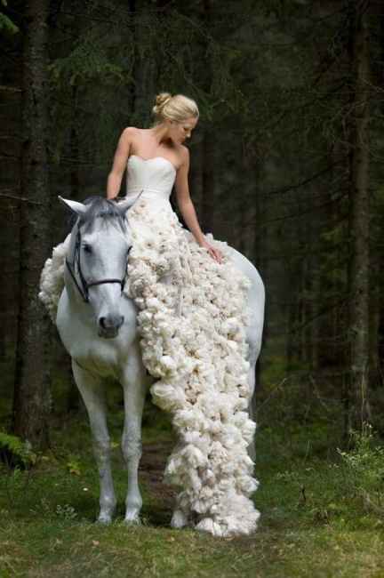 Bom dia com um vestido e um cavalo :) - 3