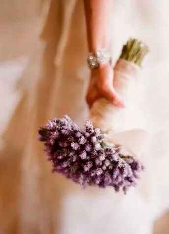 Bouquet de lavanda - 5