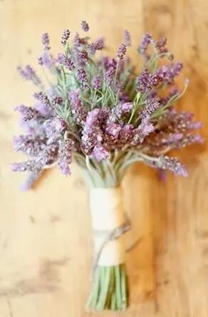 Bouquet de lavanda - 2