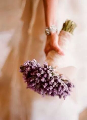 Bouquet de lavanda - 5