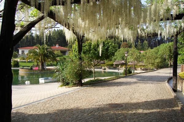 Quinta da costa  - 2