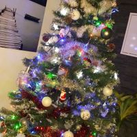 Pinheiro de Natal 2016