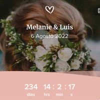 Quantos dias faltam para o teu casamento? - 1