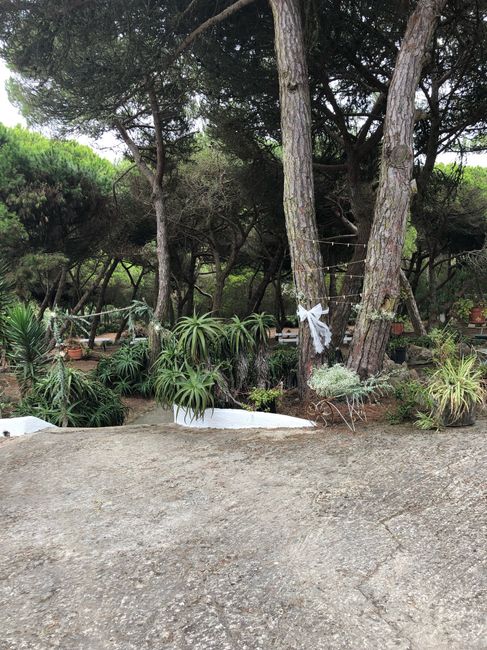 3000€ de Orçamento !!?? - 3