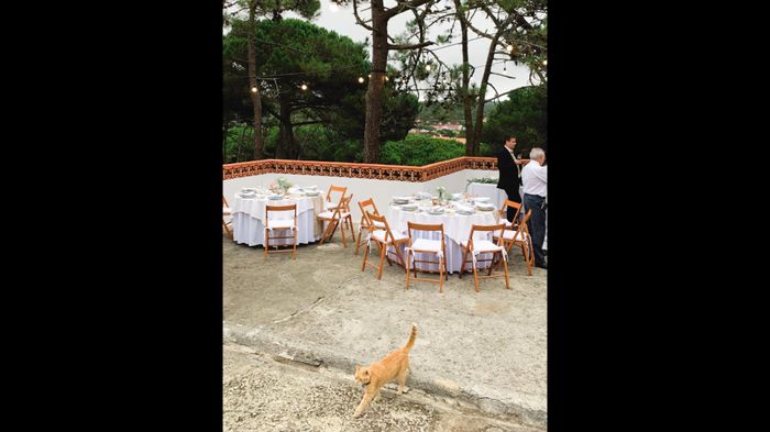 3000€ de Orçamento !!?? - 4