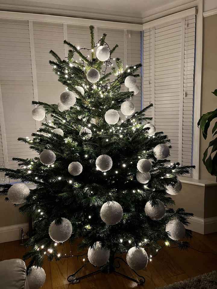Que dia montam a árvore de natal? 🎁 - 1