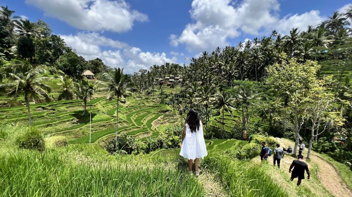 Destino lua de mel - 2