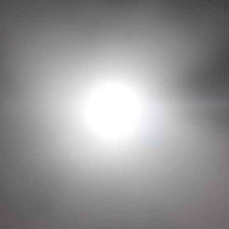 Bom dia das holandas - 1