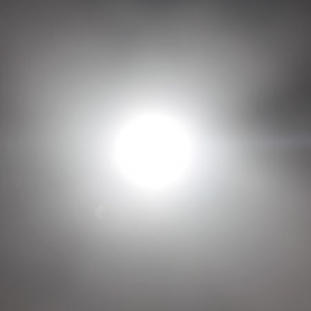 Bom dia das holandas - 1