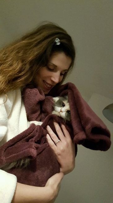Bom fim-de-semana com pet - 4