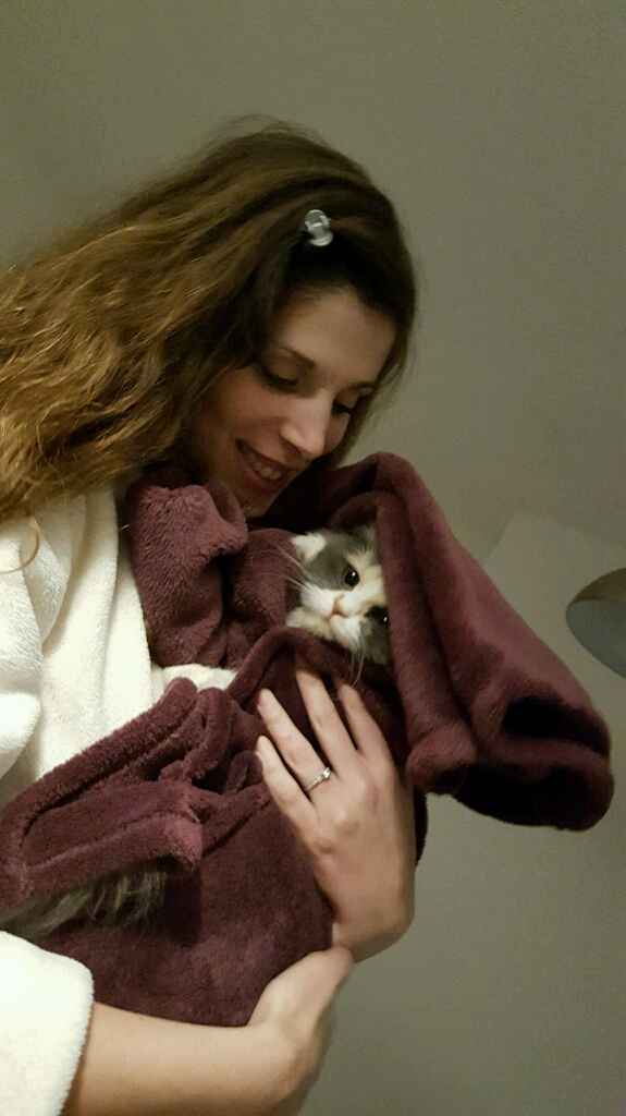 Bom fim-de-semana com pet - 4