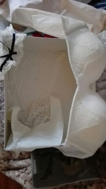 Socorro - que lingerie usar? - 1