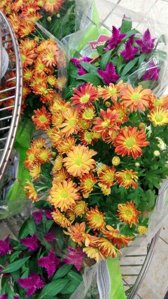 Bagbouquet - 1