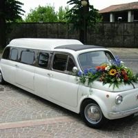 Transporte - qual deles? - 3