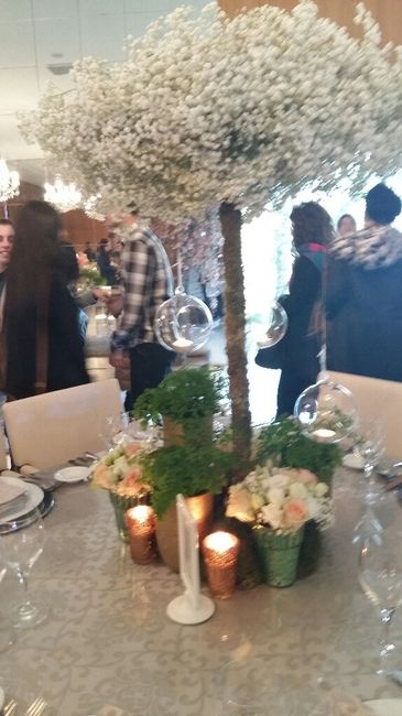 Showroom quinta dos bambus - 4