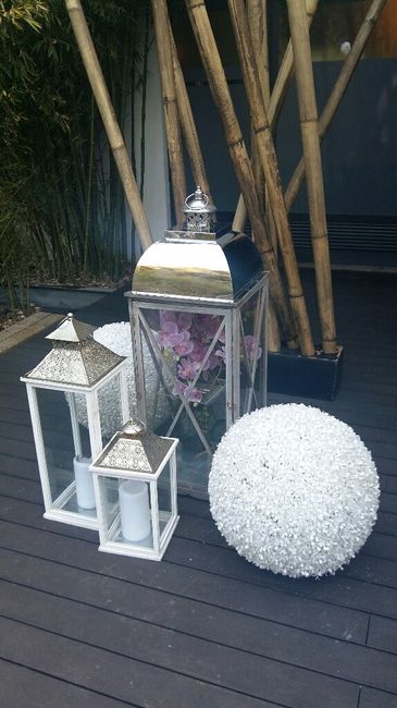 Showroom quinta dos bambus - 10