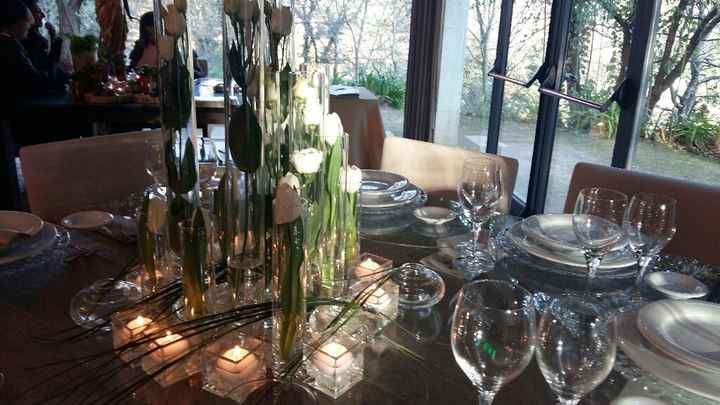 Showroom quinta dos bambus - 3