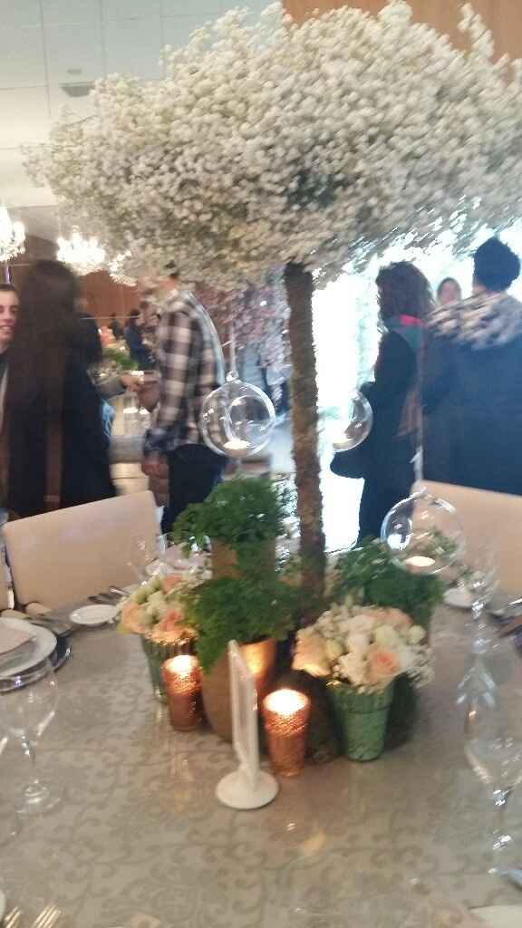 Showroom quinta dos bambus - 4