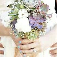 Quais as vossas flores? - 1