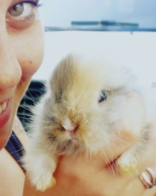 A minha fera de 4 patas.. - 1