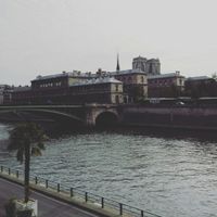 De volta a Portugal depois da lua de mel em Paris - 8