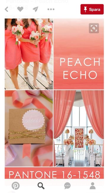 Cores tons coral - 3