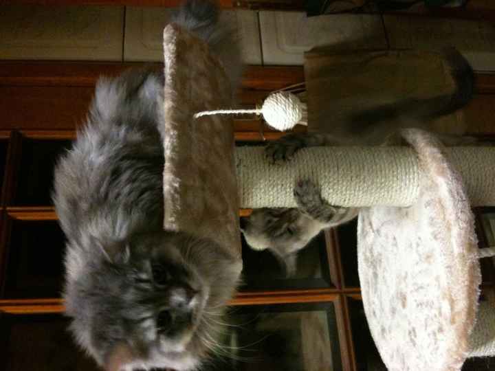 Tobias e Nina