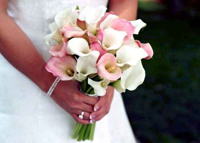 Bouquete
