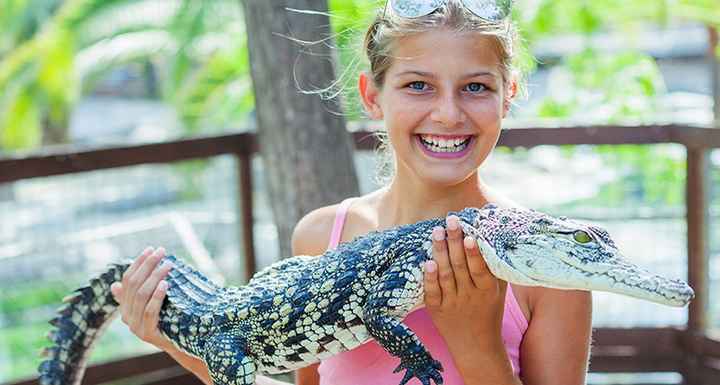 8 - Croco Cun Zoo