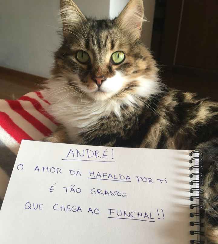  Ajuda na surpresa ao noivo - 1