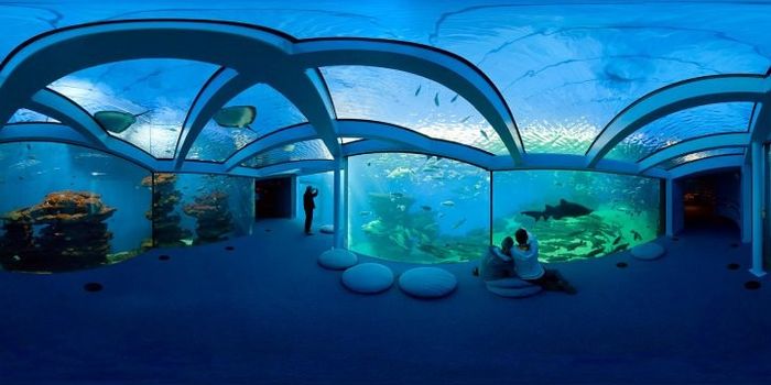5 - Palma Aquarium