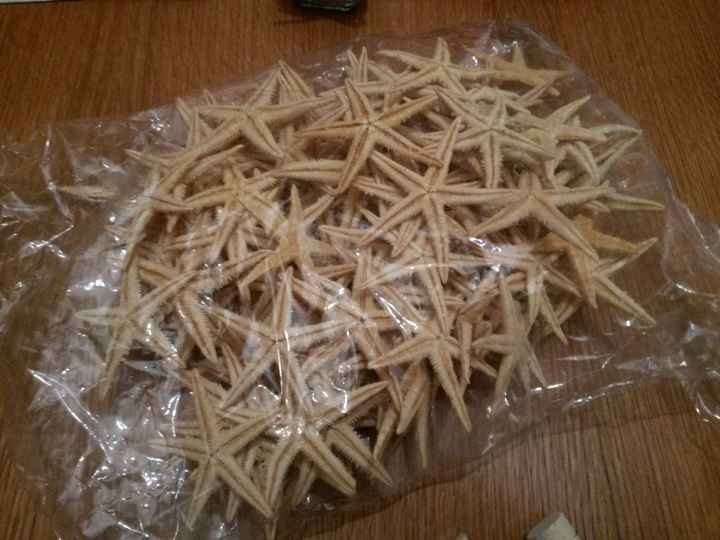 Ja tenho as tão desejadas estrelas do mar !!! - 2