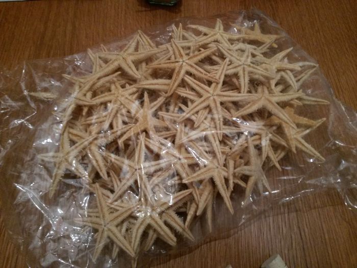 Ja tenho as tão desejadas estrelas do mar !!! - 2