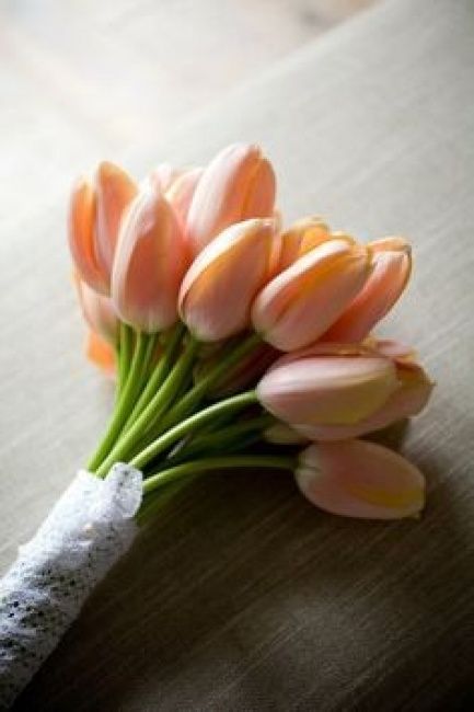 Ramo tulipas