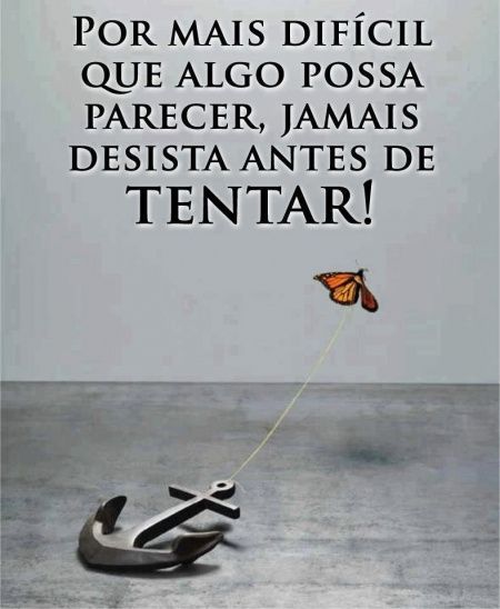 Bom domingo - 1