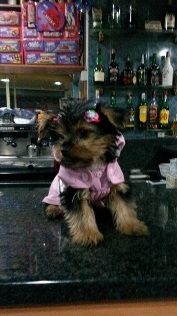 Liliiiiiiii