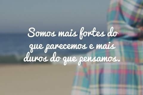 22 meses