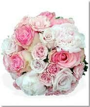 Rosa ou branco? - 1