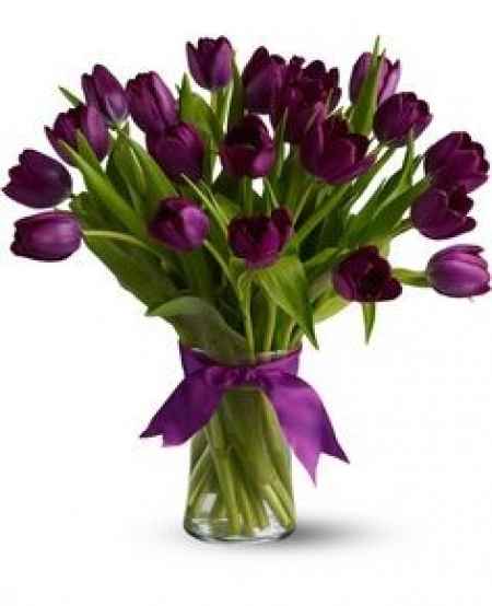 Ramo tulipas