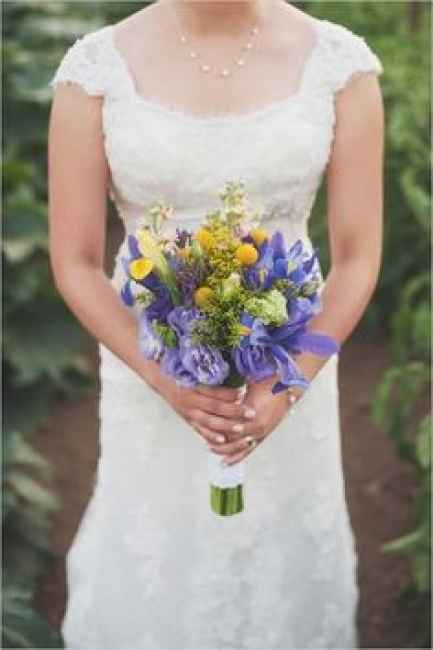 Ramo iris holandesa