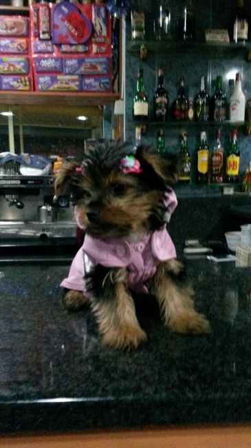 Liliiiiiiii