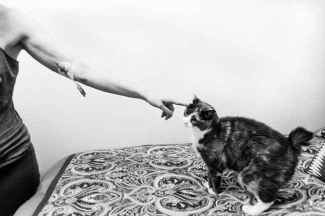 UMA HISTÓRIA DE AMOR E PERDA CAPTURADA EM FOTOGRAFIAS!!