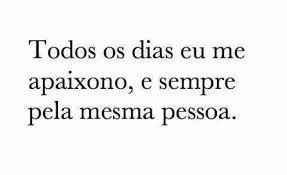 22 meses