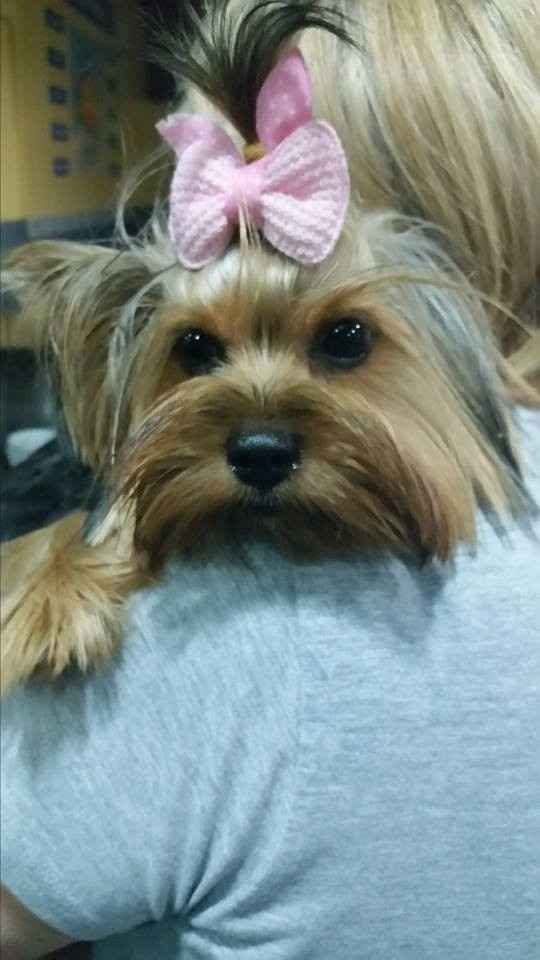 Liliiiii
