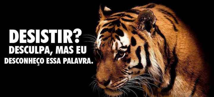 Desistirnunca