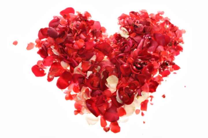 Feliz dia in love - 2