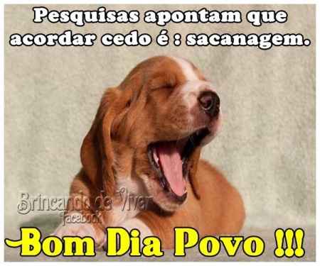 Bom dia