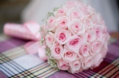 Casamento rosa
